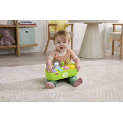 FiSHER PRICE | Vyskakovací hračka pro jemnou motoriku